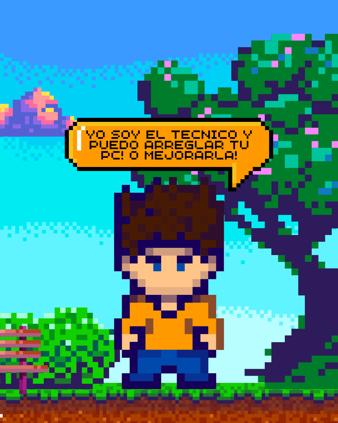 Técnico de PC